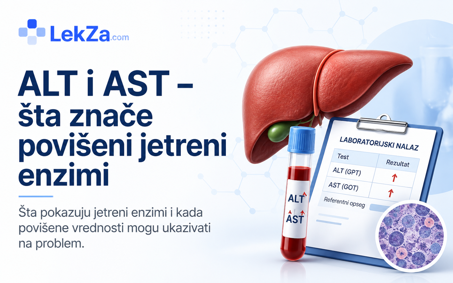 ALT i AST – šta znače povišeni jetreni enzimi
