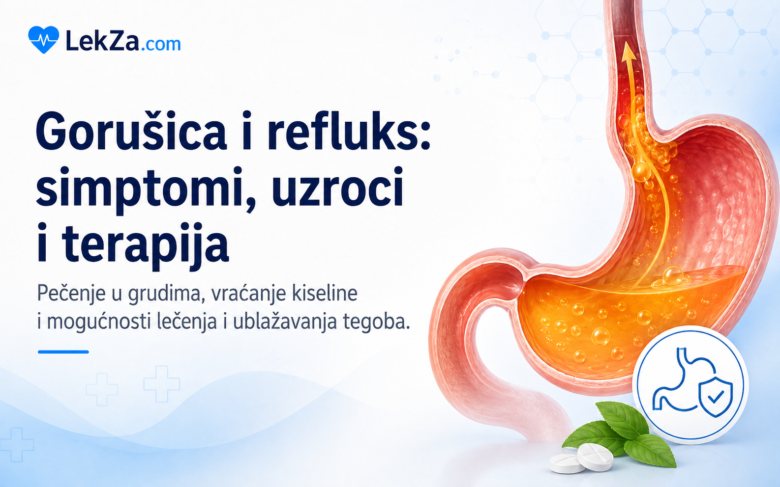 Gorušica i refluks: simptomi, uzroci i terapija