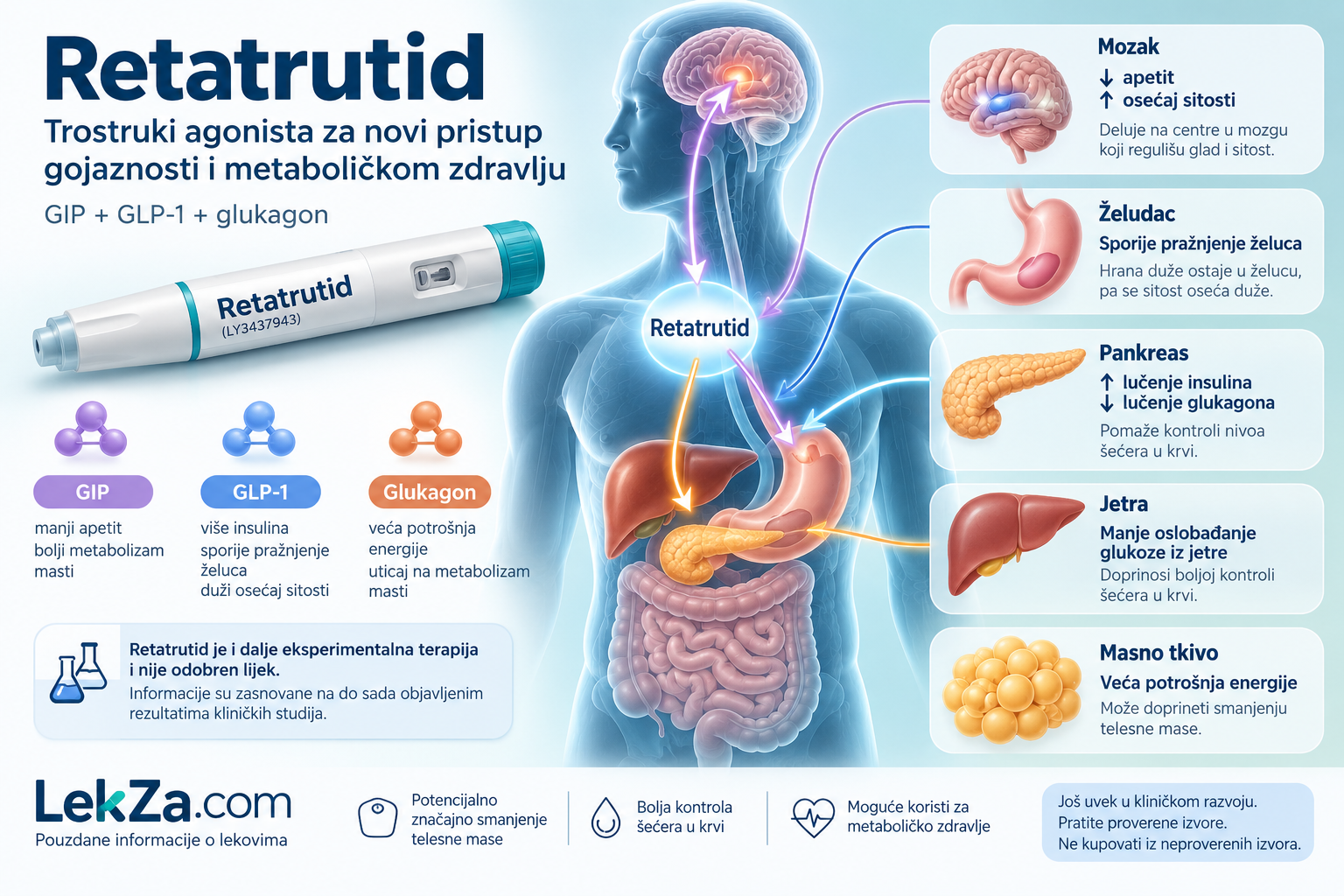 Kako retatrutid deluje na mozak, želudac, pankreas, jetru i telesnu masu Kako retatrutid deluje na mozak, želudac, pankreas, jetru i telesnu masu