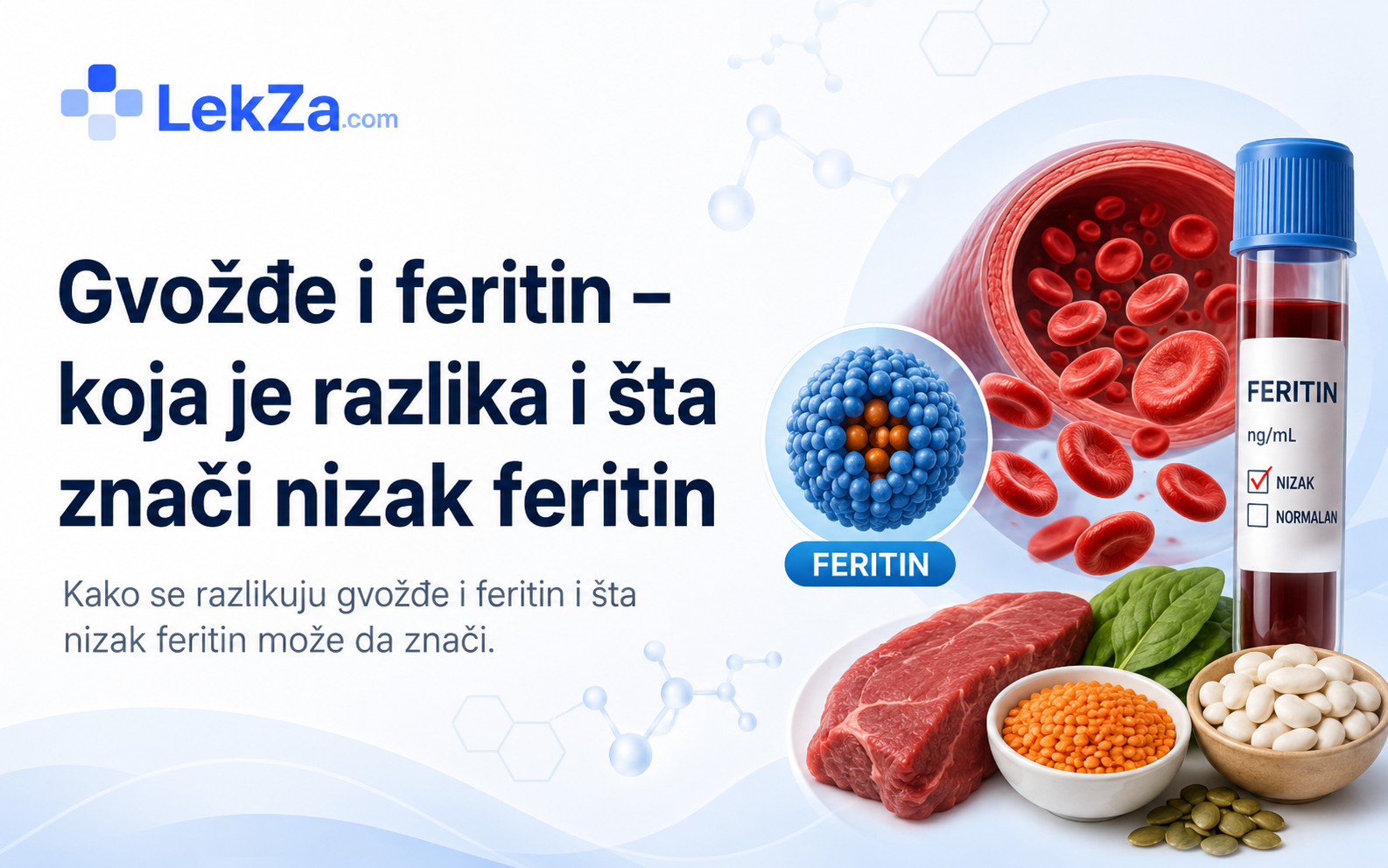Gvožđe i feritin – koja je razlika i šta znači nizak feritin